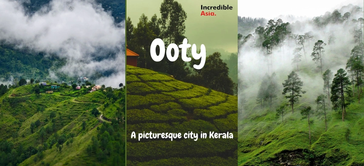 Ooty Tour Packages for Couple